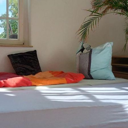 Forrest Apartments In Freiberg Min Stay 2 Nights Max Number Of Guest 1 Aprt 1 Bagian luar foto