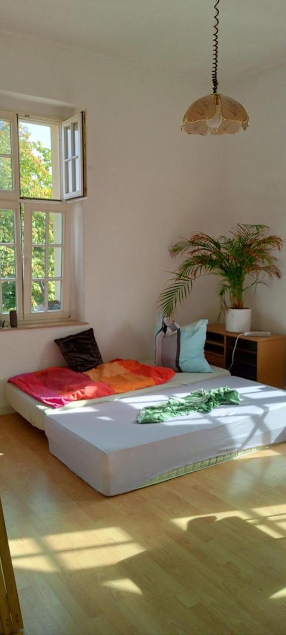 Forrest Apartments In Freiberg Min Stay 2 Nights Max Number Of Guest 1 Aprt 1 Bagian luar foto