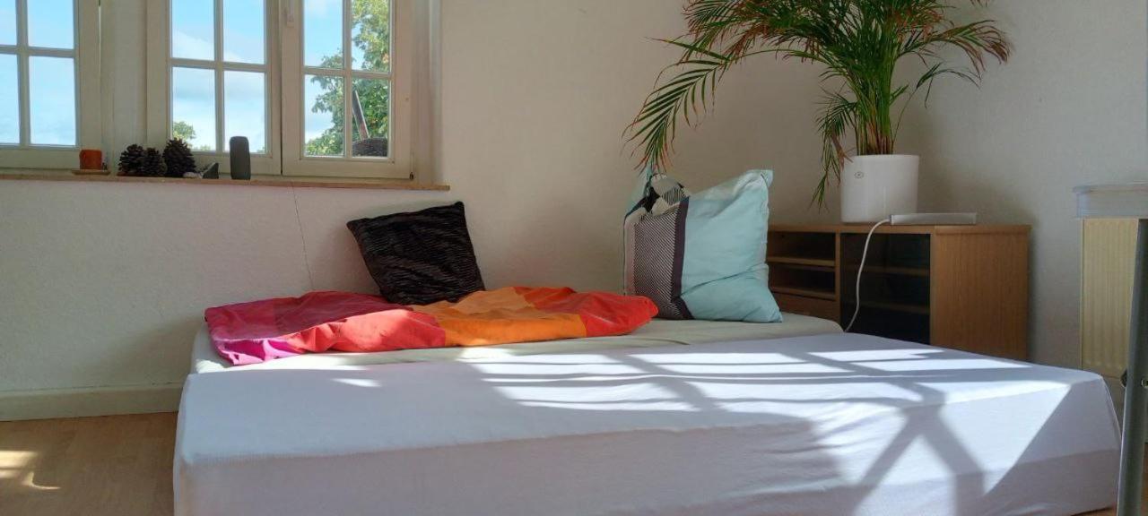 Forrest Apartments In Freiberg Min Stay 2 Nights Max Number Of Guest 1 Aprt 1 Bagian luar foto