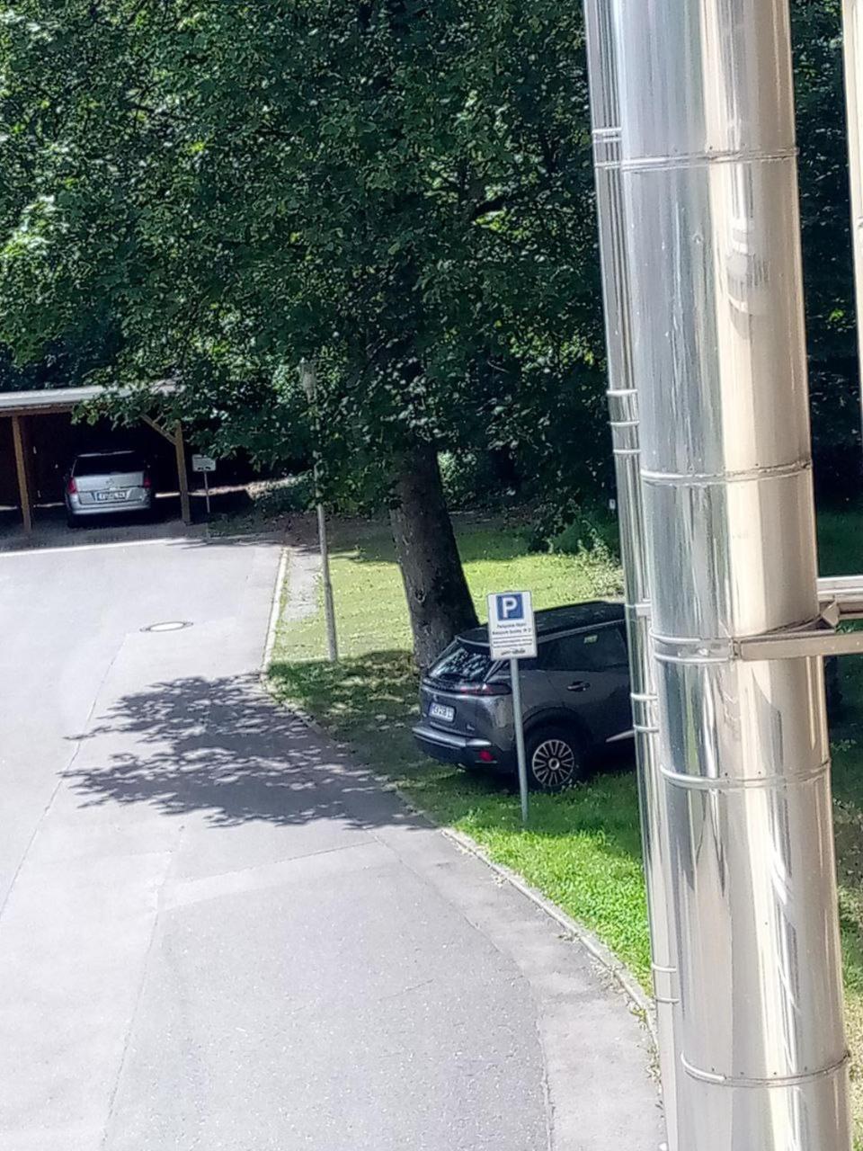 Forrest Apartments In Freiberg Min Stay 2 Nights Max Number Of Guest 1 Aprt 1 Bagian luar foto